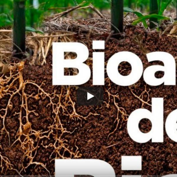 BioAS – Tecnologia de Bioanálise de Solo